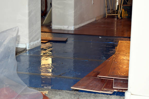 Professional Flood Damage Restoration technician working in Big Pine Key, FL